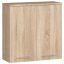 Riputatav vannitoakapp FIN 2D, 2 ust, pruun, 60 × 60 × 22,5 cm
