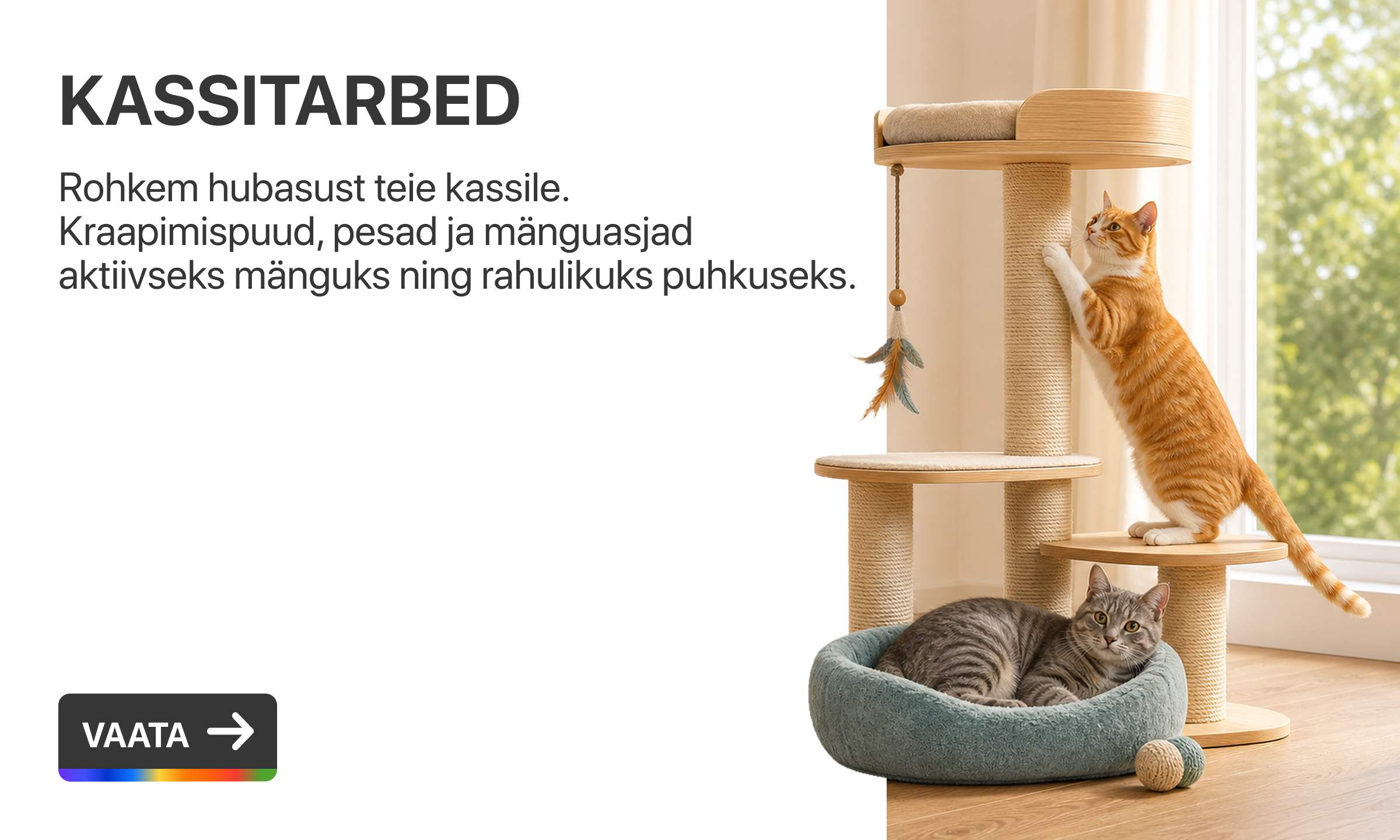 Kassitooted